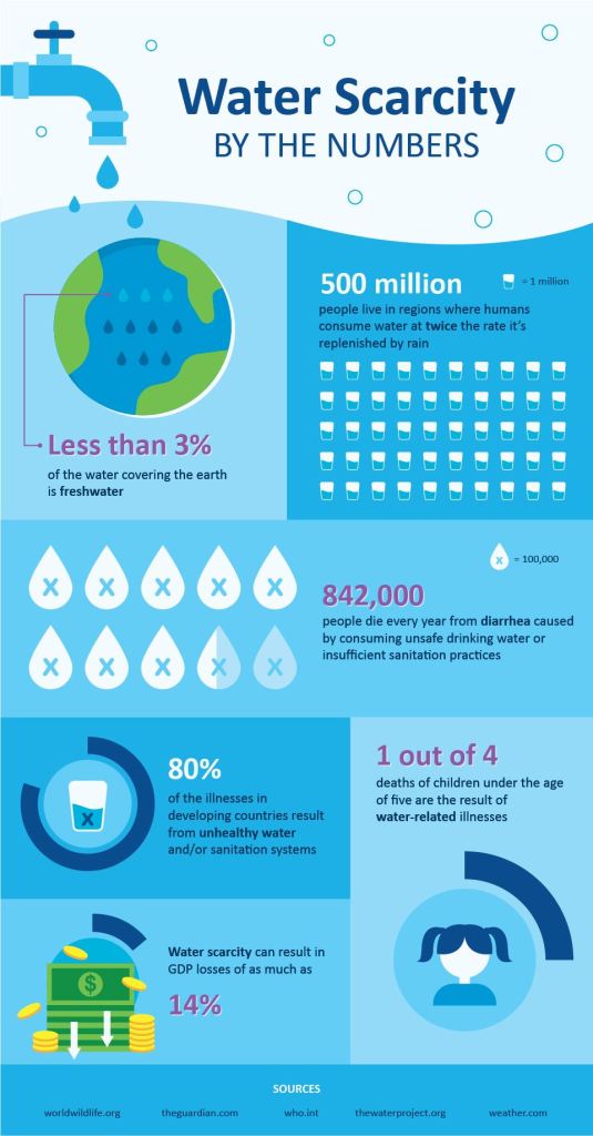 Protogens are the new craze!!!  Water scarcity, Perfect selfie, Infographic